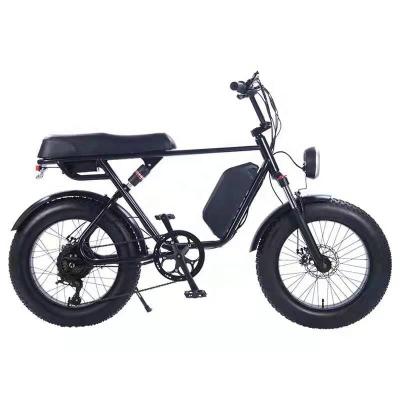 China Best Ebike 20 Fat Tire Electric Bike 750w Chase 48v 500w Electric Bike Max Motor Frame All Weather Steel Cruiser Fat Tire for sale