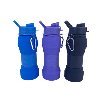 China Viable Hot Sale Outdoor Travel Portable Custom Printing Silicone Collapsible Water Bottle for sale