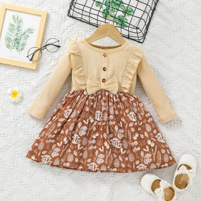 China Amazon Sale Flower Pattern Cotton Dress Girl's Autumn Clothing Long Sleeve Daily Washable Warm Casual Outfits for sale