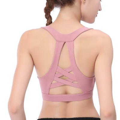 China Premium Quality Breathable Bra XXL Size Women Solid Color Training Set Push Up Sexy Women Yoga Bra for sale