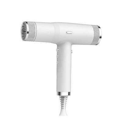 China Bldc Design 110000r/min Bldc Power Salon Hair Dryer Professional Ionic Strong High Speed ​​Slim Blow Dryers Brushless Power Hair Dryer for sale