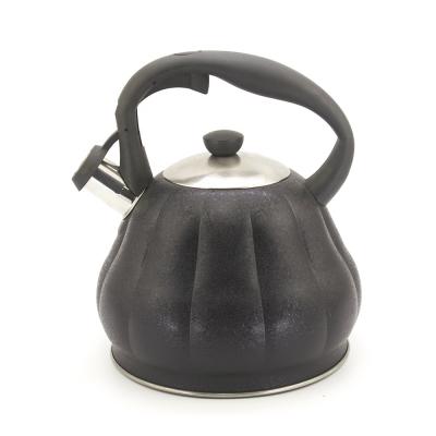 China Factory ISO9001 Good Quality OEM Capsule Bottom 304 Stainless Steel Metal Sustainable Water Kettle for sale