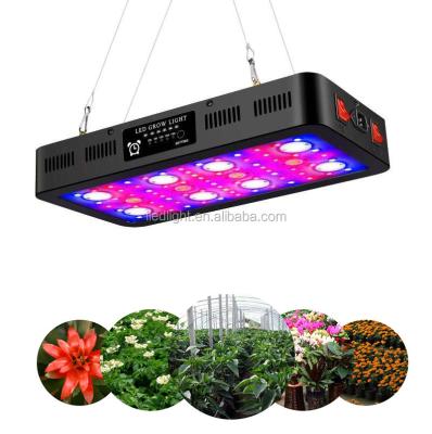 China Seed Starting Unique Design Timing COB 2400W LED Grow Light For VEG And Flower Grow Lighting By Clock for sale