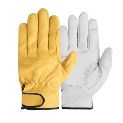 China Protective Durable Leather Comfortable Work Safety Tool Working Gloves With Velcro for sale