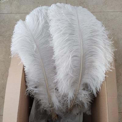 China Wedding Decoration 28-30inch White Ostrich Feathers For Sale 100pcs/Lot for sale