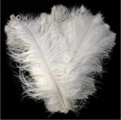 China Wedding Dyed Decoration 50-55cm (20-22inch) Ostrich Feather In Various Colors for sale