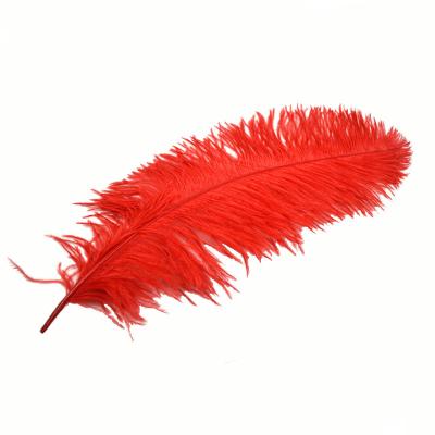 China High Quality Wedding Decoration South Africa Feather Dyed Volume 50-55 cm Ostrich Feather 20-22