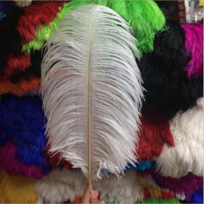 China Wedding Decoration 18-20' South Africa Wedding Artificial Ostrich Feathers Orange Feathers for sale