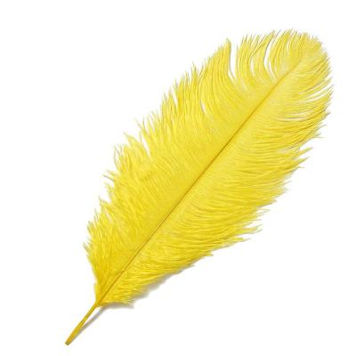 China Decorations Wholesale 30-35cm Dyed Ostrich Feathers Colorful Cheap High Quality 12-14