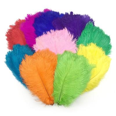 China Home Decoration Adorn Wholesale Cheap Colorful Environmentally Friendly Colorful Ostrich Feather Carnival Decoration Ostrich Feathers Band Hats 30-35 cm for sale