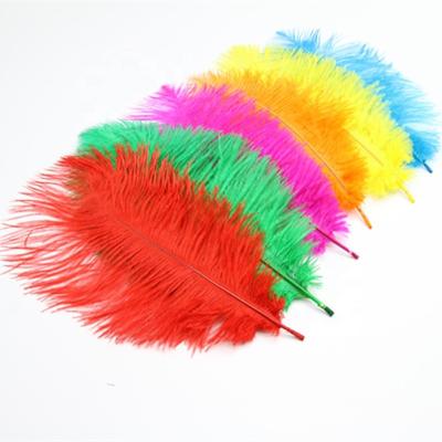 China Decorations 10-12 Inch (25-30 cm) 100 Pcs Natural Ostrich Feathers Feathers In Bulk For Wedding Decoration for sale