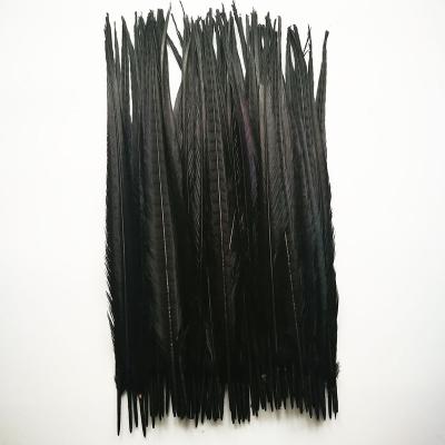 China Party Decoration 60-70cm Direct Dye Color Black Ringneck Pheasant Tail Feather for sale