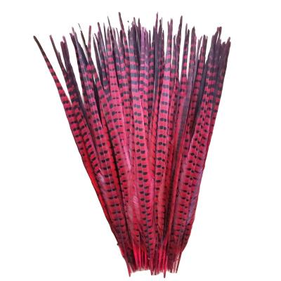 China Part Decoration 22-24INCH RINGNECK PHEASANT TAILS FEATHER-CUSTOMIZED DYE COLOR for sale