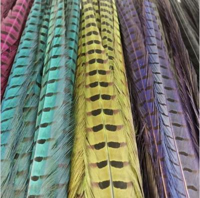 China Party Decoration Wholesale Dyed Dark Red Ringneck Pheasant Tail Feathers For DIY Decorations for sale