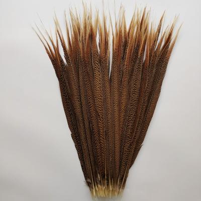 China Carnival 70-80cm Gold Color Pheasant Tail Feather Natural Pheasant Plumas for sale