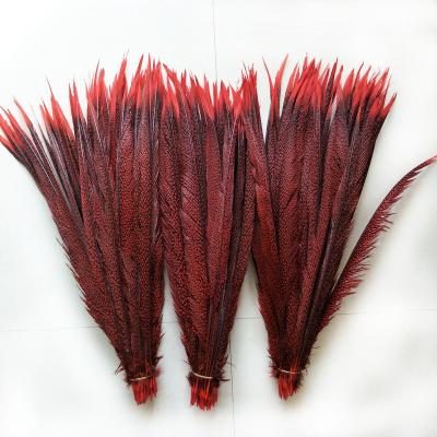 China Carnival 60-70cm Dyed Gold Pheasant Tail Plumas For Carnival Feather for sale