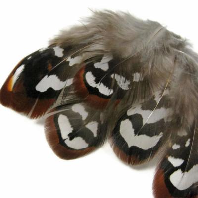 China Party Decoration DIY 5-8cm Venery Chiefs Pheasant Tail Feathers For Hat, Earring Decoration for sale