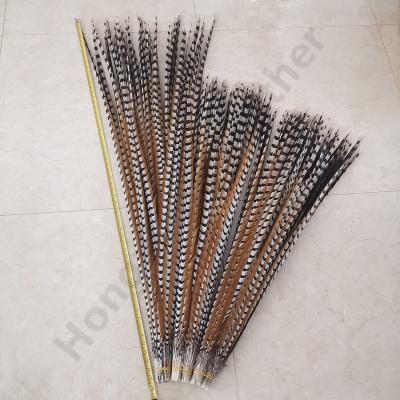 China Cheapest Natural Pheasant Feather Apparel Chief Justices And Headdress Stage Decoration Factory Wholesale 120-130cm Long Feathered Pheasant Plumas for sale