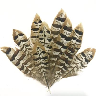 China Party Decoration Chiefs Venery Pheasant Tail Feathers Campanula Decor Apparel Feathers 5-15cm For Crafts Jewelry Making Decorative Plumas for sale