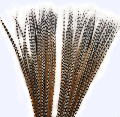 China Party / Natural Pheasant High Quality Performance Sale Cheap Size Carnival / Festival Long Stage Feathers For Decoration for sale