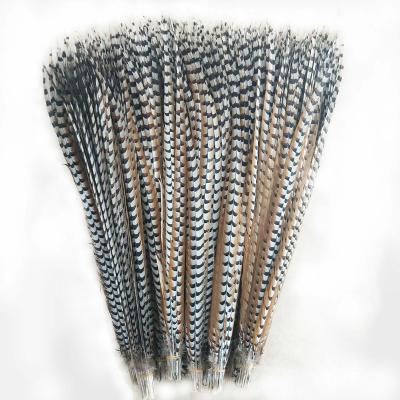 China Hot-selling high quality dyed pheasant tail feathers venery chiefs featival decoration headdress garment decoration with cheap for carnival decoration for sale