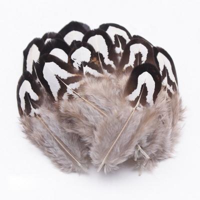 China Wholesale Decorative Craft Decoration Small Chiefs Stage DIY Natural Pheasant Feather And Pheasant Clothing Feathers Mix Feathers On Cheap Sale for sale