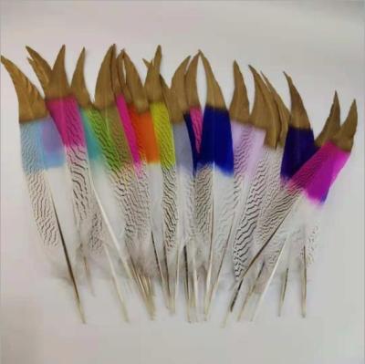 China Decorations Customized Painted Tilted Silver Pheasant Feather for sale