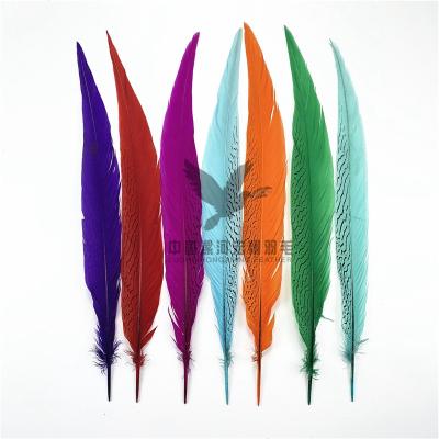 China Various Pheasant Plumas Colorful Silver Pheasant Tail Feather Decorations 55-60cm for sale