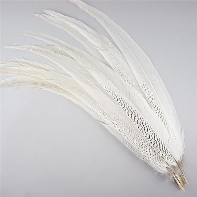 China Carnival festival costume factory wholesale high quality assorted colors pheasant silver tail feathers in stock for sale