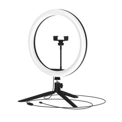 China Professional PORTABLE PORTABLE Selfie Photo Studio Led Ring Light Live Showtik Tok Ring Fill Light Lamp for sale