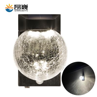 China Outdoor Solar Led Garden Garden JGF109R 3000K-6500K IP44 Protection Index Street Light Wall Garden Light for sale