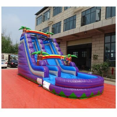 China Inflatable Palm Tree Inflatable Commercial Adult Size Water Slide Inflatable Water Slide With Detachable Pool for sale