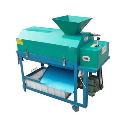 China Peel Machine Efficient Walnut Skin Peeler Machine Hot Sales Green Walnut Peeling Machine Walnut Peeling Machine for sale