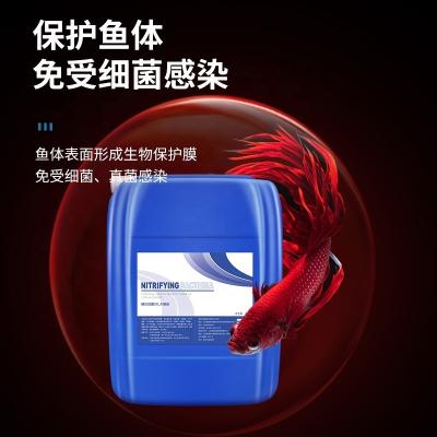 China Freshwater/Saltwater Nitrifying Bacteria Aquarium Water Purifier Fish Medicine Digestion Bacteria Fish Farming Supplies Live Water Blow for sale