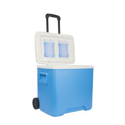 China Insulated 30 L Food Grade PP Incubator Long Time Keeping Cool Cooler Cooler Or Lunch Incubator For Office for sale