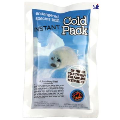 China 2021 Disposable Cold Packed OEM Ice Pack PE Ice Pack Waterproof Disposable First Aid Medical Kit Quick Fresh Pack for sale