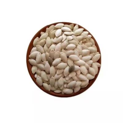 China Nourishing pumpkin seeds / dry good for people health pumpkin seeds / organic pumpkin seeds in the shell for sale