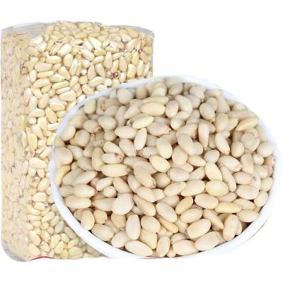 China Quality Bulk Dried Chinese Dried Fruit Pine Nuts Shelled Pine Nuts for sale