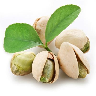 China OEM Dry Salted Pistachios Delicious Natural Additives Free Roasted Salted Shell for sale