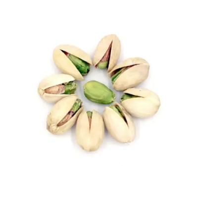 China High quality pistachio dry dried pistachios with salt pistachios for sale for sale