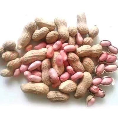 China Dried Peanut Rich In Skin Protein Rich Organic Raw Red Peanut Multiple Kernel Protein Nuts for sale