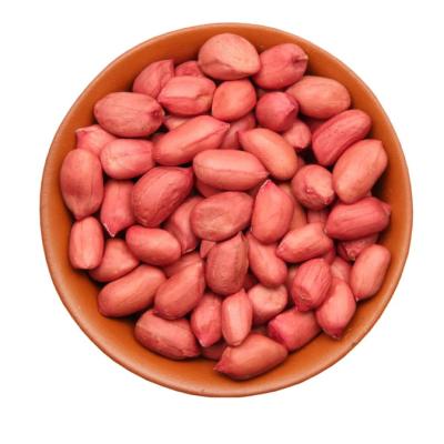 China Dry Red Skin Peanut Peanuts Bulk Raw Peanuts Price Peeled Peanut Nuts Price for sale