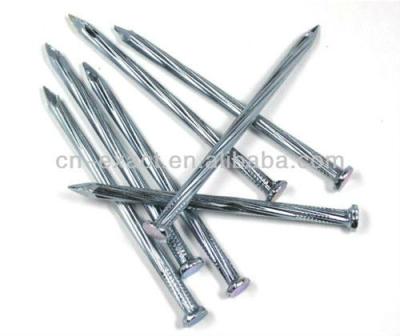 China Steel Galvanized Common Nail U Nail for sale