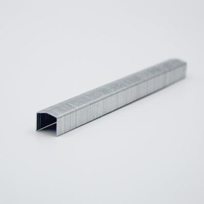 China STCR5019-6 20 Gauge 11.50mm Crown 6mm Furniture Staple ANSI Standard for 6mm Crown for sale