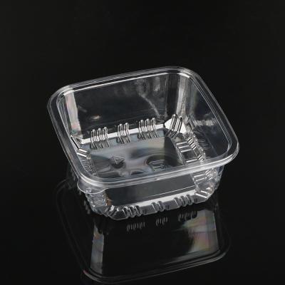 China Clamshell Blister Packaging Tray Customized Disposable Clear zu verkaufen