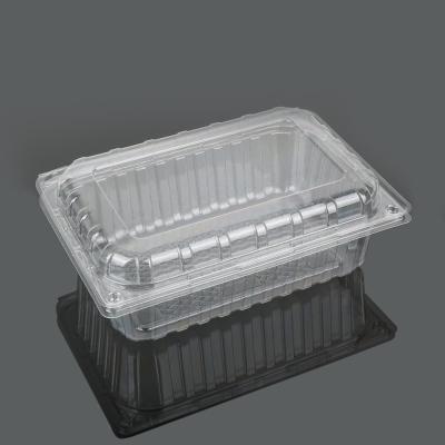 China La categoría alimenticia de la Virgen ACARICIA la caja plástica disponible de la comida de los 22.5cm en venta