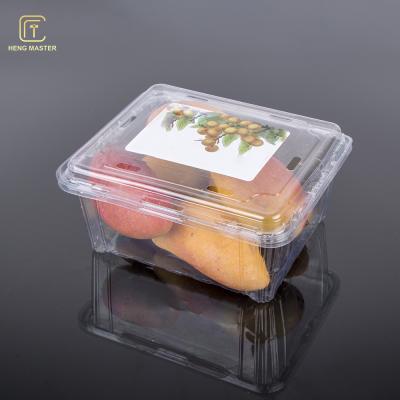 China Ontruim 19.5*16*9cm Beschikbare Plastic Fruitcontainers Te koop