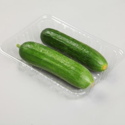 China bandeja disponible del Veggie de los 4.5cm en venta