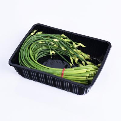 China Bandejas vegetales disponibles de la caja fuerte los 20*14*5.5cm de la microonda de los PP en venta