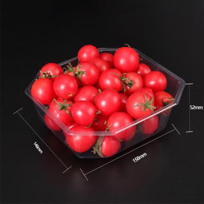 China Bandeja disponible apilable de la fruta del ANIMAL DOMÉSTICO FDA del 15*16*5CM en venta